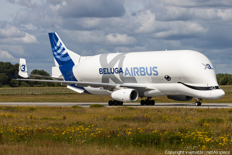 Airbus Transport International Airbus A330-743L Beluga XL (F-GXLI) | Photo 517436
