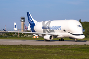 Airbus Transport International Airbus A330-743L Beluga XL (F-GXLI) at  Hamburg - Finkenwerder, Germany