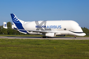 Airbus Transport International Airbus A330-743L Beluga XL (F-GXLI) at  Hamburg - Finkenwerder, Germany