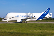 Airbus Transport International Airbus A330-743L Beluga XL (F-GXLI) at  Hamburg - Finkenwerder, Germany