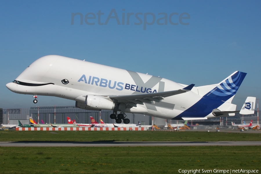 Airbus Transport International Airbus A330-743L Beluga XL (F-GXLI) | Photo 527351