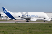 Airbus Transport International Airbus A330-743L Beluga XL (F-GXLI) at  Hamburg - Finkenwerder, Germany