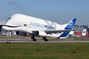 Airbus Transport International Airbus A330-743L Beluga XL (F-GXLI) at  Hamburg - Finkenwerder, Germany