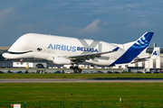 Airbus Transport International Airbus A330-743L Beluga XL (F-GXLI) at  Hamburg - Finkenwerder, Germany