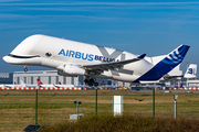 Airbus Transport International Airbus A330-743L Beluga XL (F-GXLI) at  Hamburg - Finkenwerder, Germany