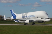 Airbus Transport International Airbus A330-743L Beluga XL (F-GXLI) at  Hamburg - Finkenwerder, Germany