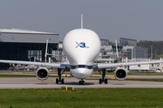 Airbus Transport International Airbus A330-743L Beluga XL (F-GXLI) at  Hamburg - Finkenwerder, Germany