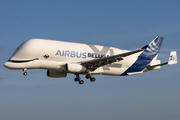 Airbus Transport International Airbus A330-743L Beluga XL (F-GXLI) at  Hamburg - Finkenwerder, Germany