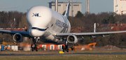 Airbus Transport International Airbus A330-743L Beluga XL (F-GXLJ) at  Bremen, Germany