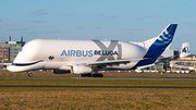 Airbus Transport International Airbus A330-743L Beluga XL (F-GXLJ) at  Bremen, Germany