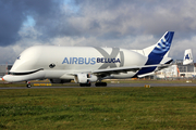 Airbus Transport International Airbus A330-743L Beluga XL (F-GXLJ) at  Hamburg - Finkenwerder, Germany