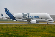 Airbus Transport International Airbus A330-743L Beluga XL (F-GXLJ) at  Hamburg - Finkenwerder, Germany