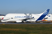 Airbus Transport International Airbus A330-743L Beluga XL (F-GXLJ) at  Hamburg - Finkenwerder, Germany