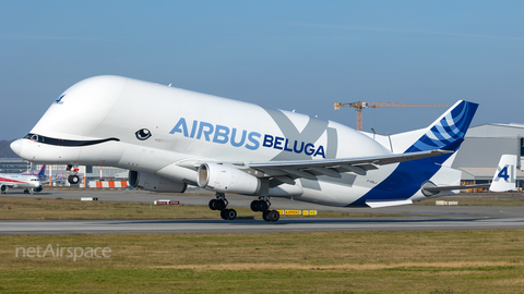 Airbus Transport International Airbus A330-743L Beluga XL (F-GXLJ) at  Hamburg - Finkenwerder, Germany