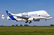 Airbus Transport International Airbus A330-743L Beluga XL (F-GXLJ) at  Hamburg - Finkenwerder, Germany