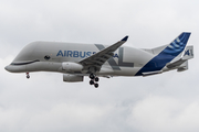 Airbus Transport International Airbus A330-743L Beluga XL (F-GXLJ) at  Hamburg - Finkenwerder, Germany