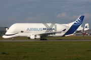 Airbus Transport International Airbus A330-743L Beluga XL (F-GXLJ) at  Hamburg - Finkenwerder, Germany