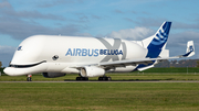 Airbus Transport International Airbus A330-743L Beluga XL (F-GXLN) at  Hamburg - Finkenwerder, Germany