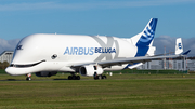 Airbus Transport International Airbus A330-743L Beluga XL (F-GXLN) at  Hamburg - Finkenwerder, Germany