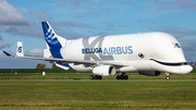 Airbus Transport International Airbus A330-743L Beluga XL (F-GXLN) at  Hamburg - Finkenwerder, Germany