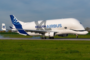 Airbus Transport International Airbus A330-743L Beluga XL (F-GXLN) at  Hamburg - Finkenwerder, Germany