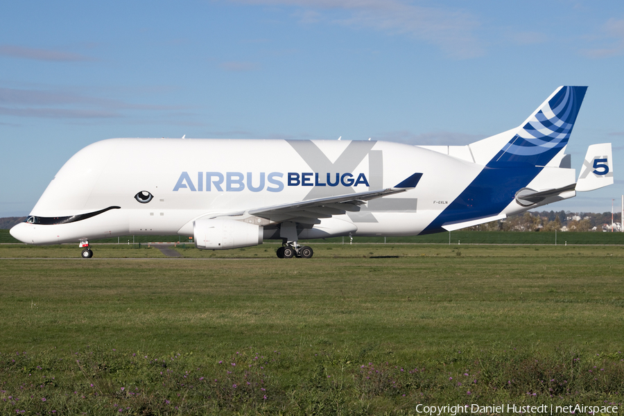 Airbus Transport International Airbus A330-743L Beluga XL (F-GXLN) | Photo 535405