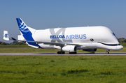 Airbus Transport International Airbus A330-743L Beluga XL (F-GXLN) at  Hamburg - Finkenwerder, Germany