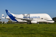 Airbus Transport International Airbus A330-743L Beluga XL (F-GXLN) at  Hamburg - Finkenwerder, Germany