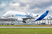 Airbus Transport International Airbus A330-743L Beluga XL (F-GXLN) at  Hamburg - Finkenwerder, Germany