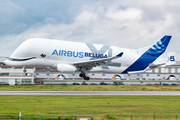 Airbus Transport International Airbus A330-743L Beluga XL (F-GXLN) at  Hamburg - Finkenwerder, Germany