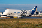 Airbus Transport International Airbus A330-743L Beluga XL (F-GXLN) at  Hamburg - Finkenwerder, Germany