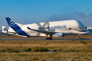 Airbus Transport International Airbus A330-743L Beluga XL (F-GXLN) at  Hamburg - Finkenwerder, Germany