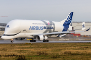 Airbus Transport International Airbus A330-743L Beluga XL (F-GXLO) at  Hamburg - Finkenwerder, Germany