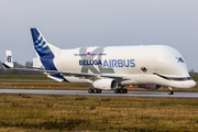 Airbus Transport International Airbus A330-743L Beluga XL (F-GXLO) at  Hamburg - Finkenwerder, Germany