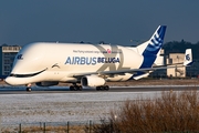 Airbus Transport International Airbus A330-743L Beluga XL (F-GXLO) at  Hamburg - Finkenwerder, Germany