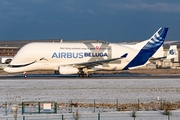 Airbus Transport International Airbus A330-743L Beluga XL (F-GXLO) at  Hamburg - Finkenwerder, Germany