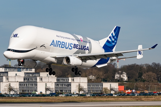 Airbus Transport International Airbus A330-743L Beluga XL (F-GXLO) at  Hamburg - Finkenwerder, Germany?sid=dfe6999c67f6a19dbe12a19a112fcac0