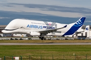 Airbus Transport International Airbus A330-743L Beluga XL (F-GXLO) at  Hamburg - Finkenwerder, Germany