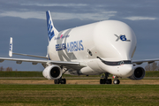 Airbus Transport International Airbus A330-743L Beluga XL (F-GXLO) at  Hamburg - Finkenwerder, Germany