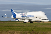Airbus Transport International Airbus A330-743L Beluga XL (F-GXLO) at  Hamburg - Finkenwerder, Germany