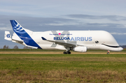 Airbus Transport International Airbus A330-743L Beluga XL (F-GXLO) at  Hamburg - Finkenwerder, Germany