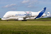 Airbus Transport International Airbus A330-743L Beluga XL (F-GXLO) at  Hamburg - Finkenwerder, Germany