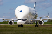 Airbus Transport International Airbus A330-743L Beluga XL (F-GXLO) at  Hamburg - Finkenwerder, Germany