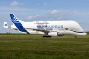 Airbus Transport International Airbus A330-743L Beluga XL (F-GXLO) at  Hamburg - Finkenwerder, Germany