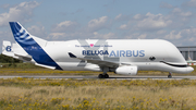 Airbus Transport International Airbus A330-743L Beluga XL (F-GXLO) at  Hamburg - Finkenwerder, Germany