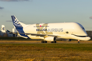 Airbus Transport International Airbus A330-743L Beluga XL (F-GXLO) at  Hamburg - Finkenwerder, Germany