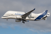 Airbus Transport International Airbus A330-743L Beluga XL (F-GXLO) at  Hamburg - Finkenwerder, Germany