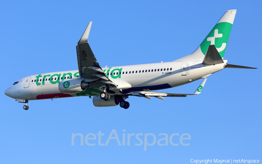 Transavia France Boeing 737-8HX (F-GZHF) | Photo 182489