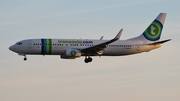 Transavia France Boeing 737-8K2 (F-GZHL) at  Paris - Orly, France