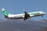 Transavia France Boeing 737-8K2 (F-GZHM) at  Tenerife Sur - Reina Sofia, Spain